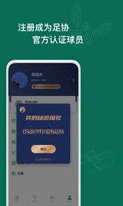 綠茵中國