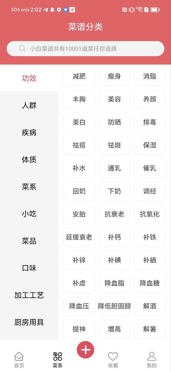 小白菜譜