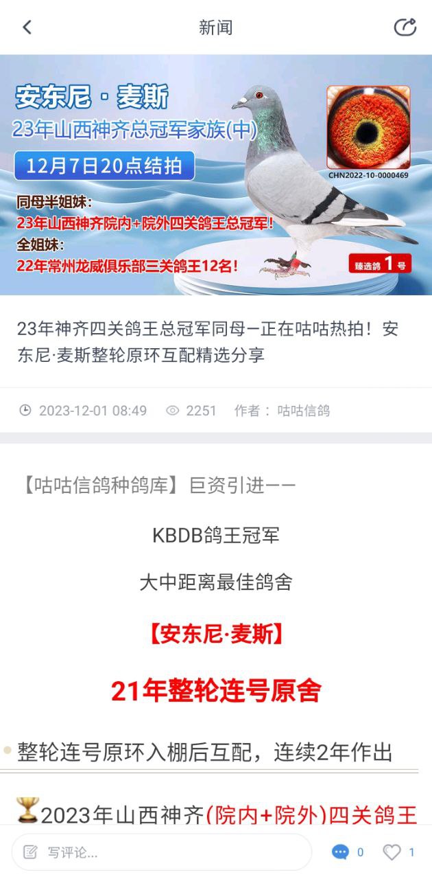 咕咕信鴿
