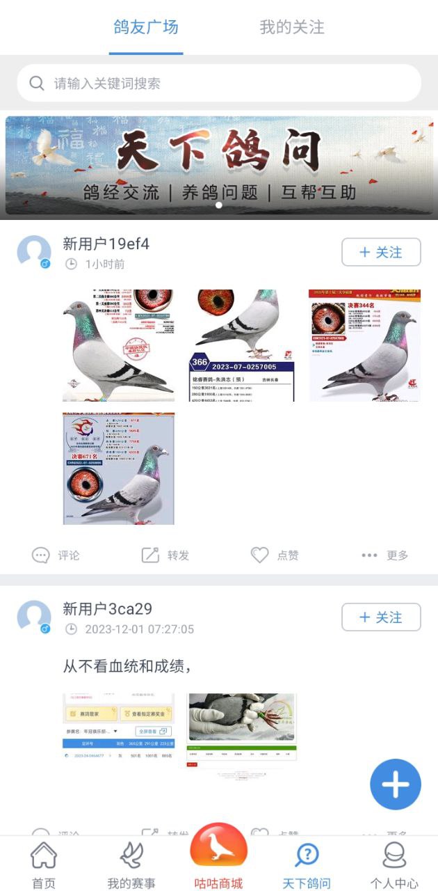 咕咕信鴿