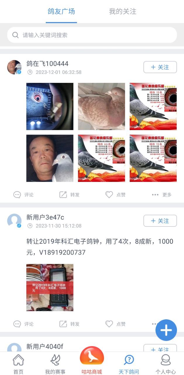 咕咕信鴿