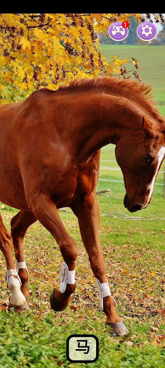 動物和聲音