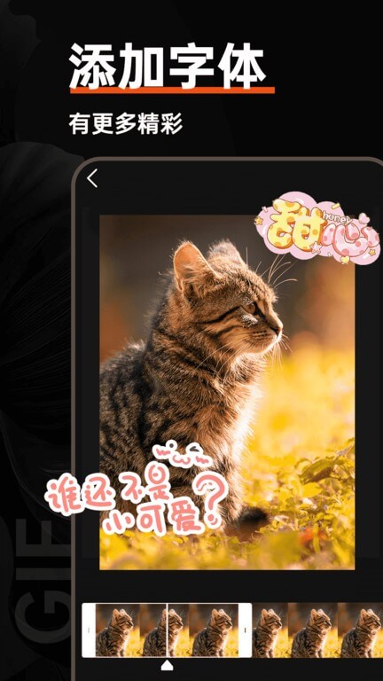 gif動(dòng)圖制作器安裝