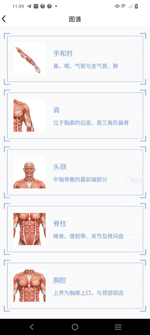 人體3d解剖圖譜怎么用
